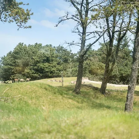 Rogegard Garden Nyaraló Fjerritslev